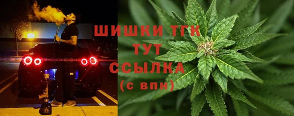 твердый Алзамай