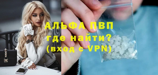 гидра Покачи
