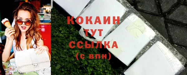 гидра Арсеньев